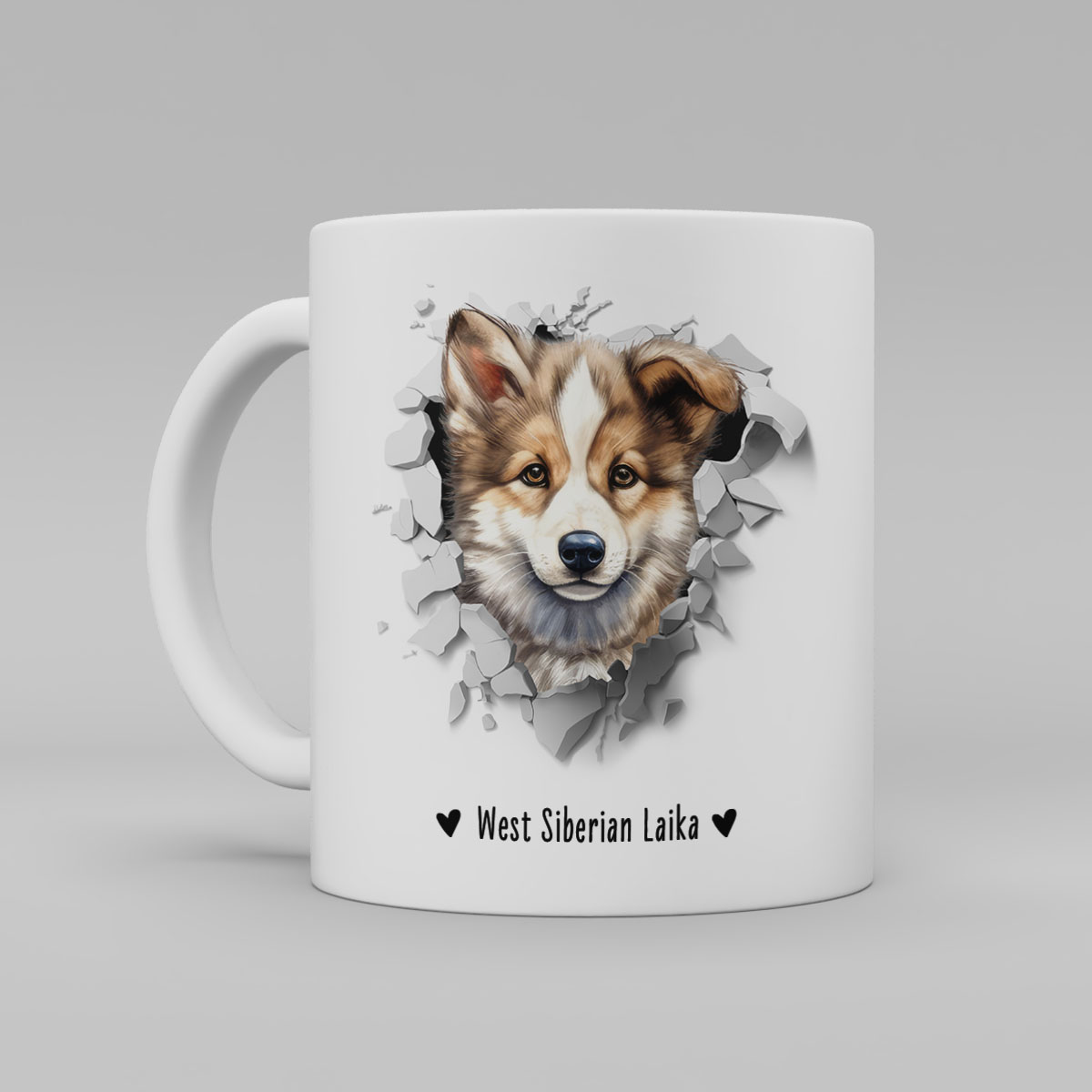 West Siberian Laika – sezam.se