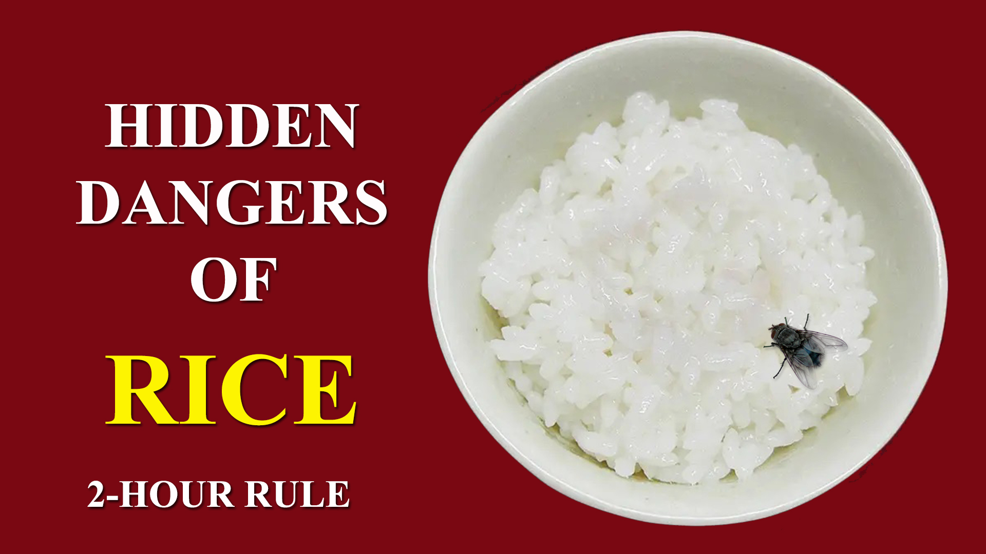 Beware The Hidden Dangers Of Rice And Rats - r0tr5a3