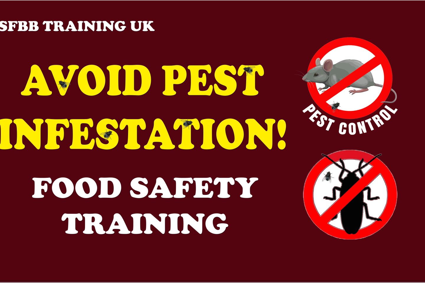 Food hygiene training, SFBB training, Pest Control