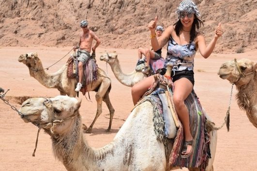 Super Safari fra Sharm El Sheikh