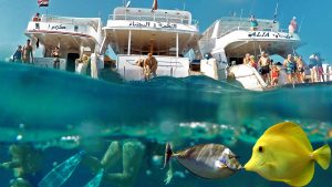 Hurghada Egypten 11 Hurghada - Snorkleudflugt til Mahmya-Øen
