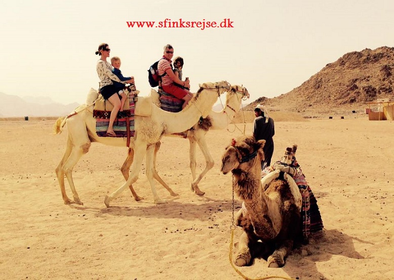 Hurghada: Aften ATV Safari 2020