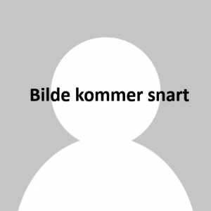 Bildekommersnart