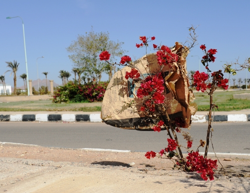 Sharm el Sheikh.