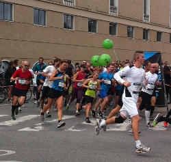 kbh halvmaraton