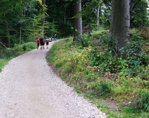 Halvorsen trail