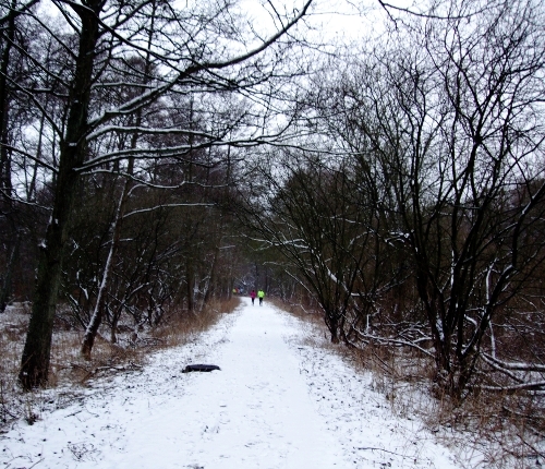 Skodsborg maraton