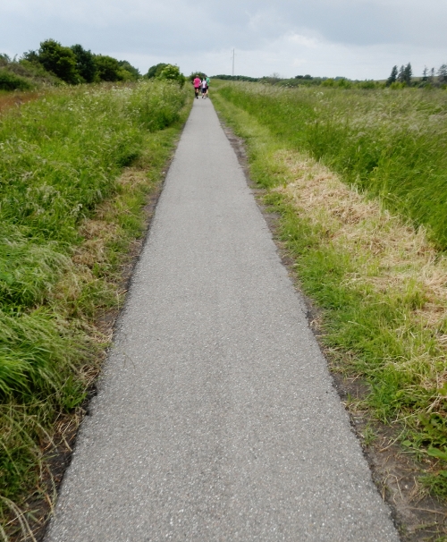 Storebælt Naturmaraton