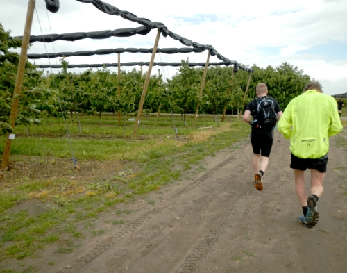 Storebælt Naturmaraton