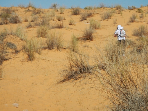 100 km del Sahara