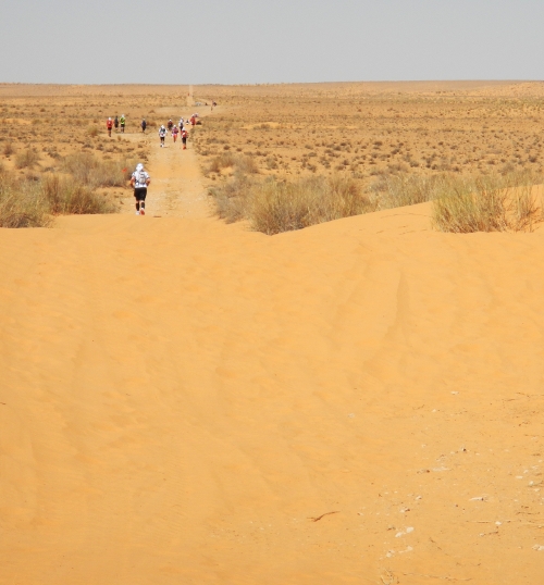 100 km del Sahara