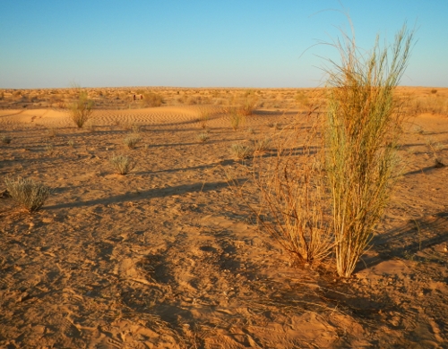 100 km del Sahara