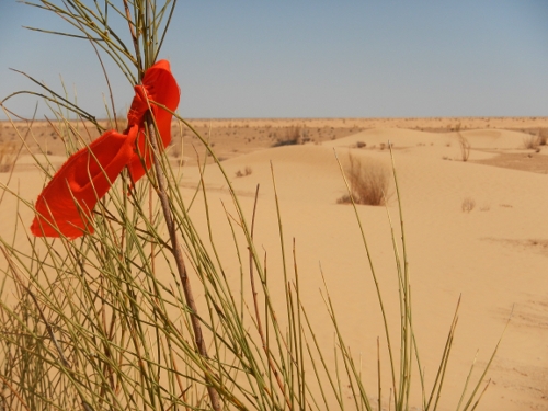 100 km del Sahara