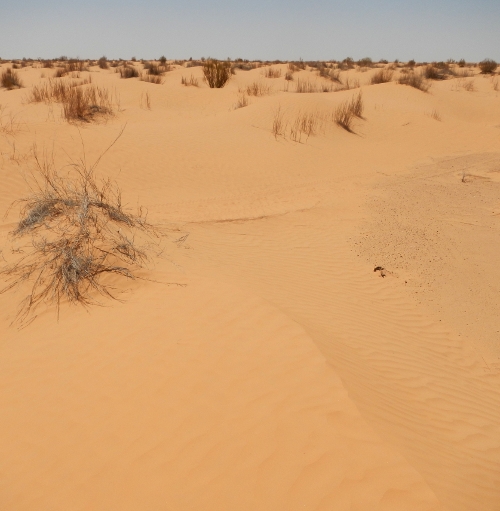 100 km del Sahara