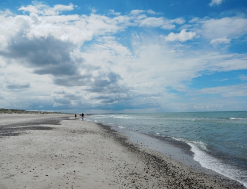 North Sea Beach Marathon