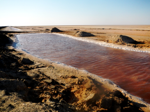 Saltsø Chott el Djerid.