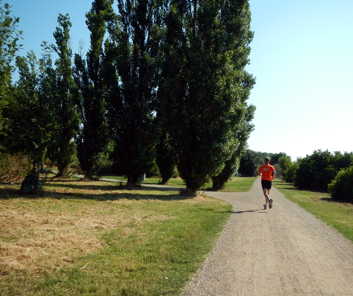 Rundt om solen