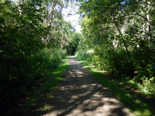 Rundt om solen