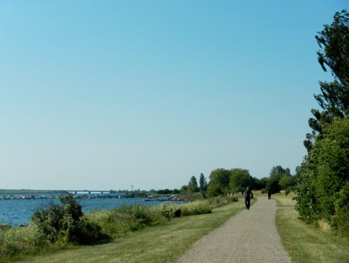 Rundt om solen