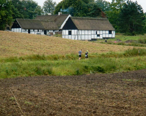 Skovløberen