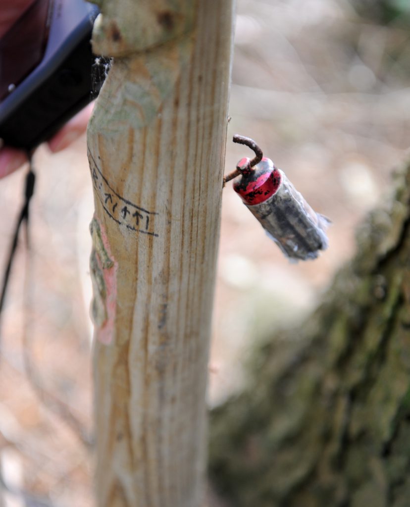 Geocache der hænger på en pind