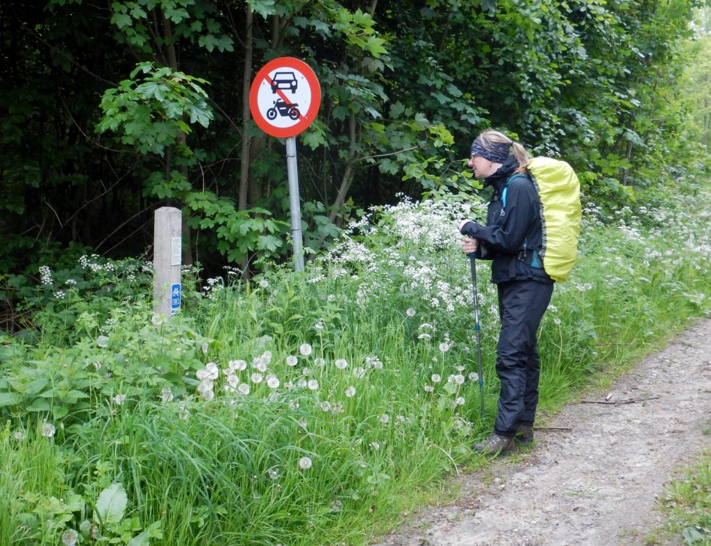 Vandre der kigger på en fortællepæl i udkanten af skoven. Et skilt viser at motorkørtøjer ikke har adgang