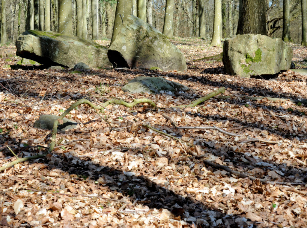 Sten i skov