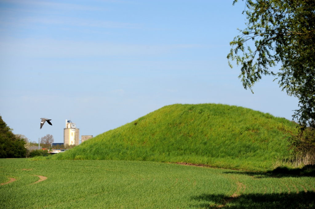 Rundhøj ved spirende kornmark. Silo i baggrunden