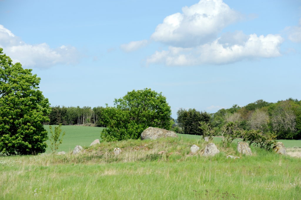 Gravhøj i landskab