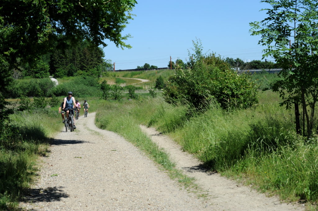 Cyklister på vej ad grusvej i grønt landskab.