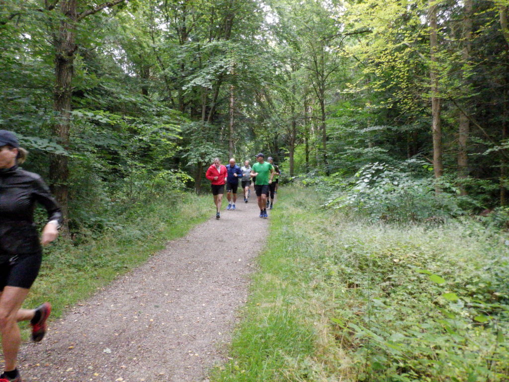 Løbere i en grøn skov