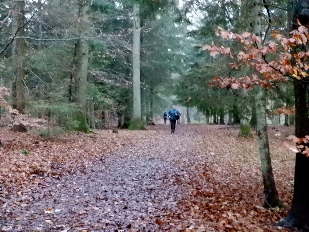 En løber på en vej dækket af visne blade i en skov