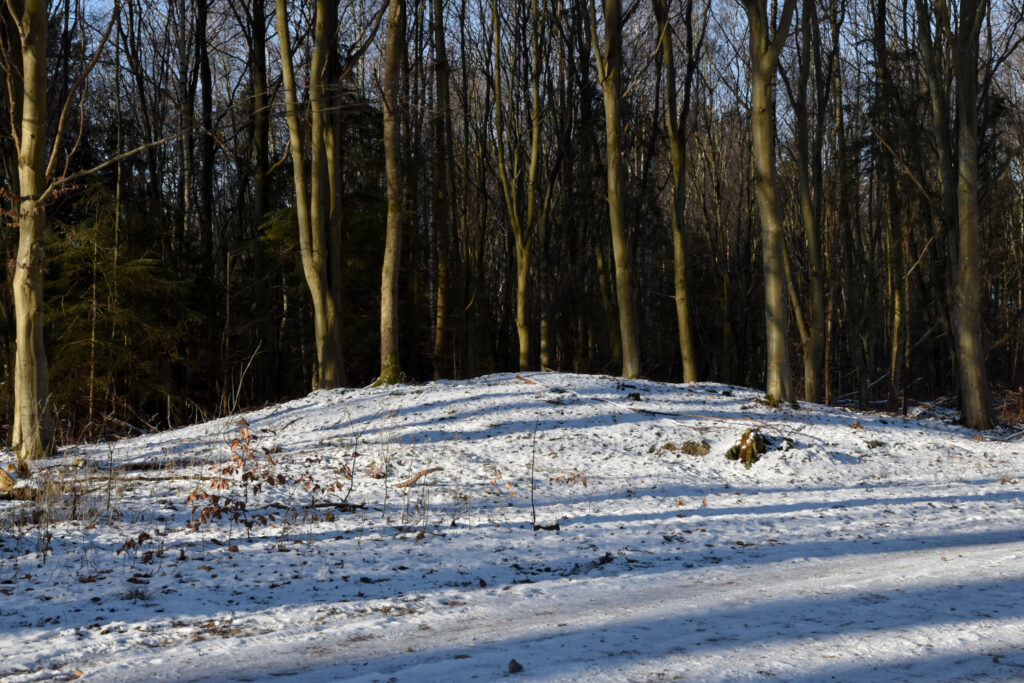 Lav rundhøj i skov.