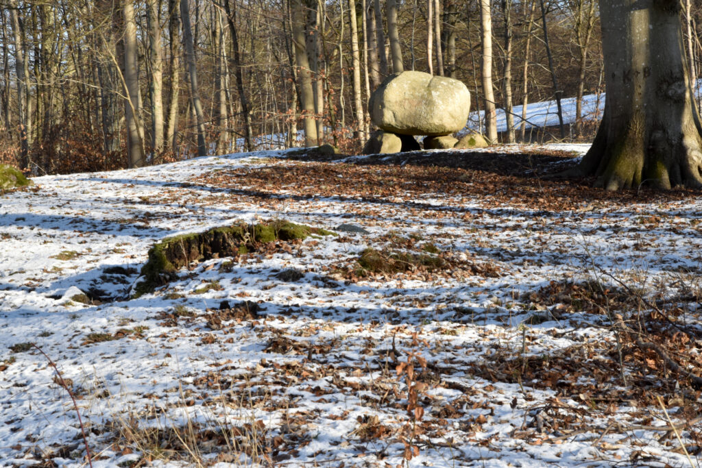 Dysse i sneklædt skov.