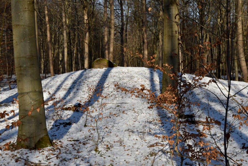 Rundhøj i sneklædt skov.