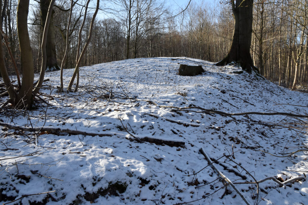 Rundhøj i sneklædt skov.