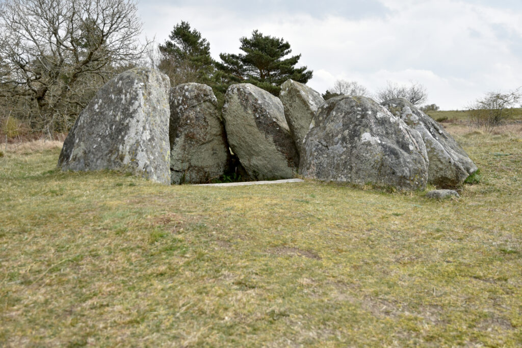 Blottet stendysse