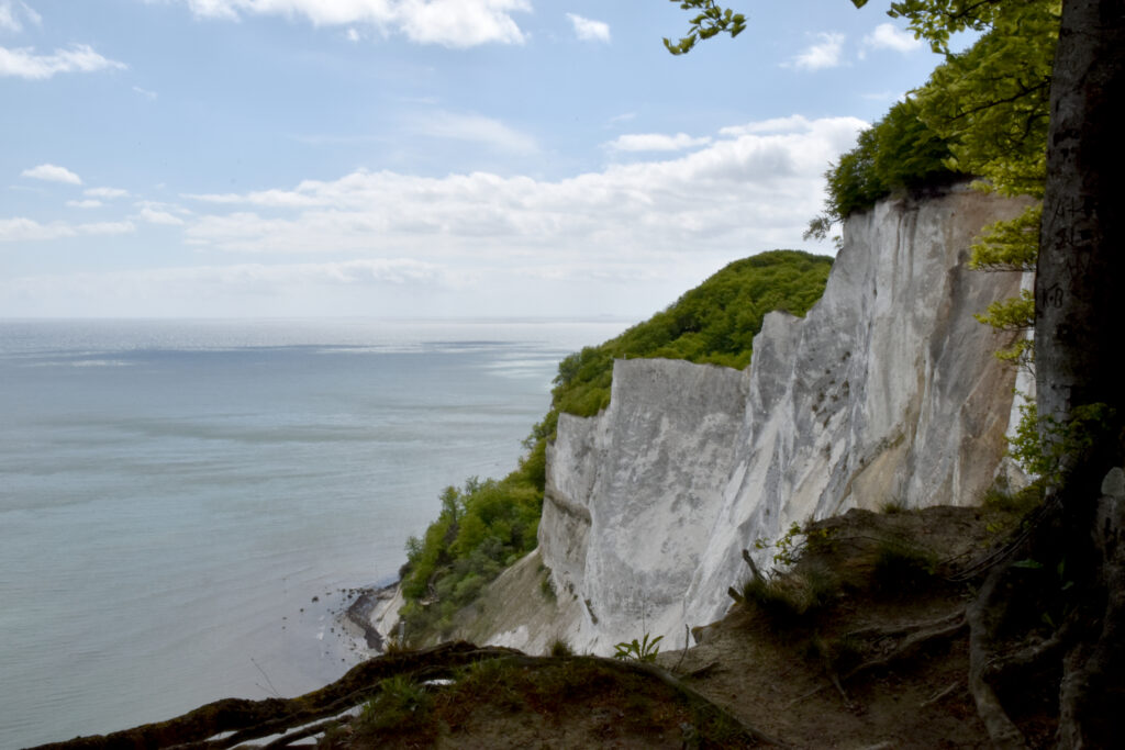 Hav og skovbeklædt klint