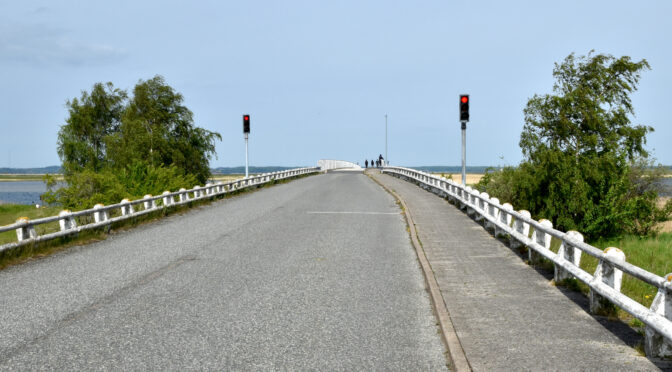 Strandeng og skov