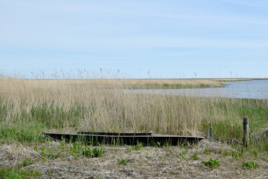 Båd i strandkant. Hav og strandeng i baggrunden