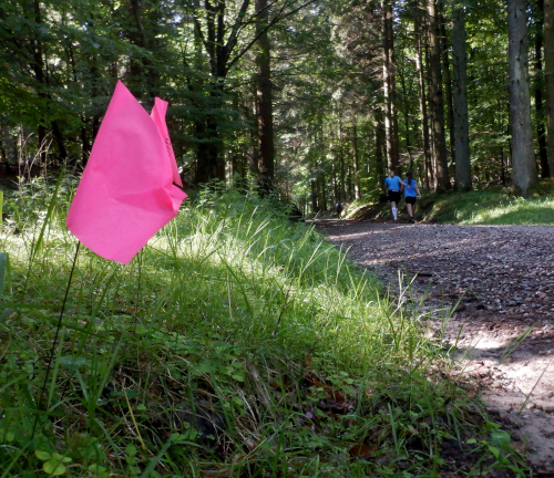 Lyserøde markeringsflag, sko og to løbere på en skovvej