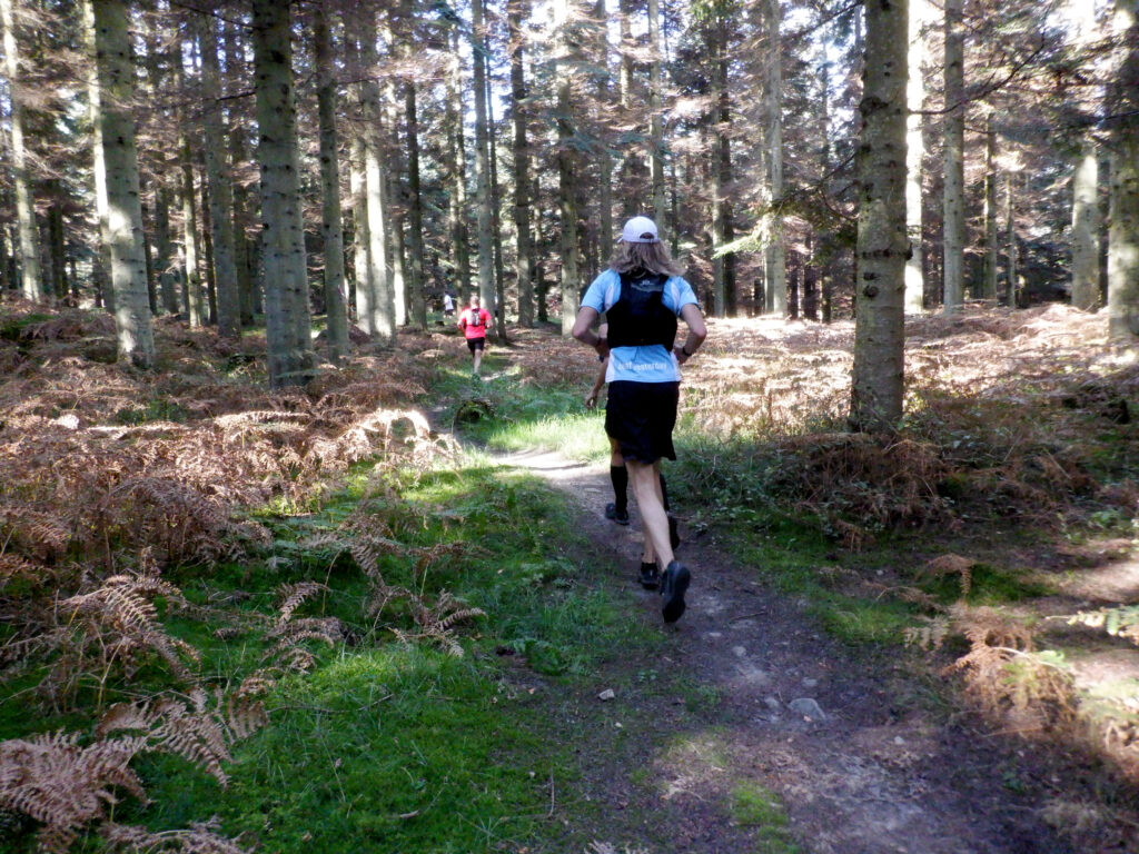 Et par løbere på et singletrack.