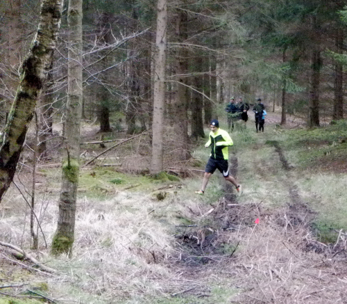 Løbere på en sti i en skov, én forsøger at kommer tørskoet udenom vand på stien.