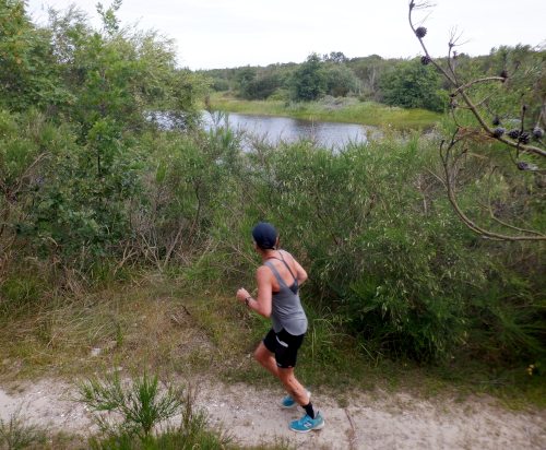 En løber passere en sø i plantagen