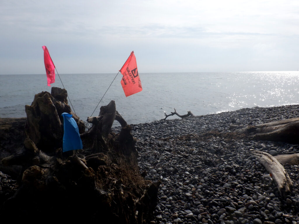 Havet og tre små flag i forskellige farver: Orange, lyserød og blå.