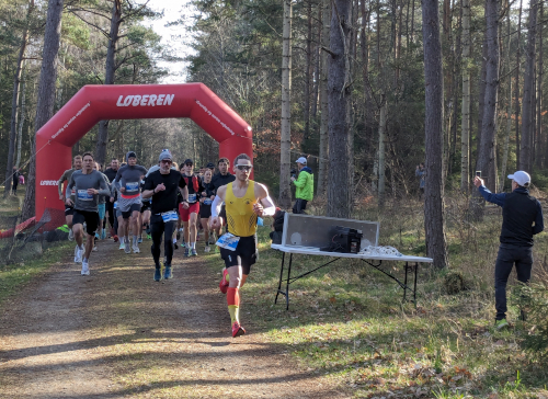 Løbere i en skov.