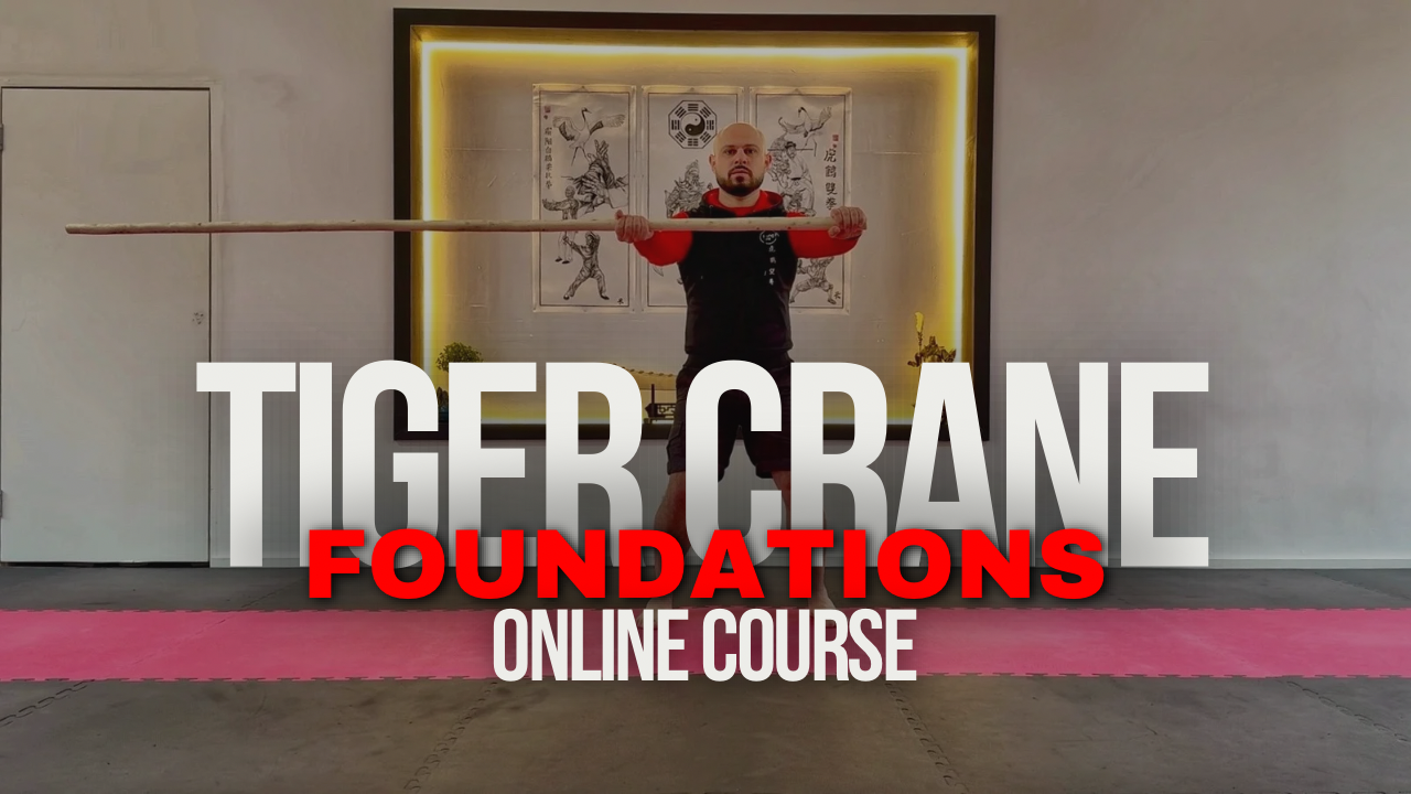 Tiger Crane Foundations Course