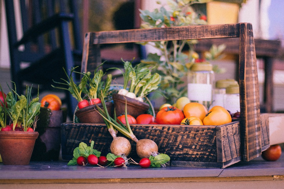 nutrición y fertilidad