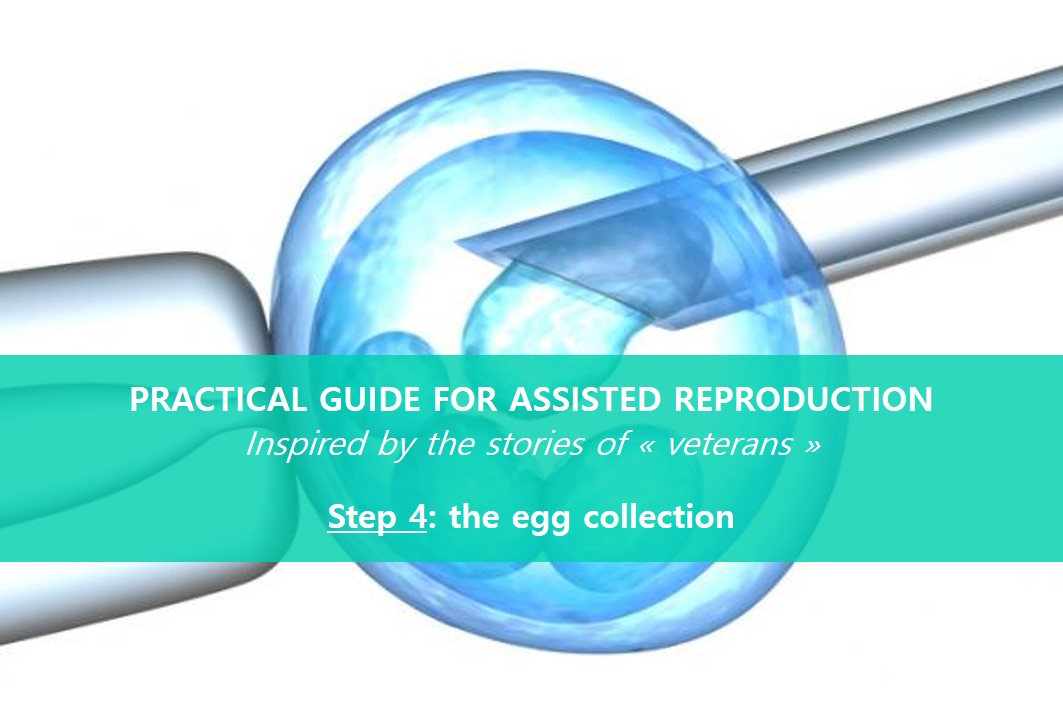 assisted-reproduction-the-egg-collection