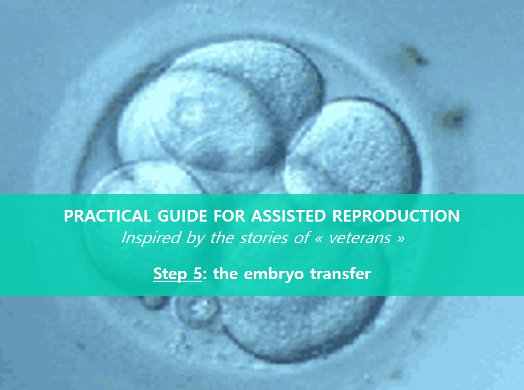 EMBRYO-TRANSFER